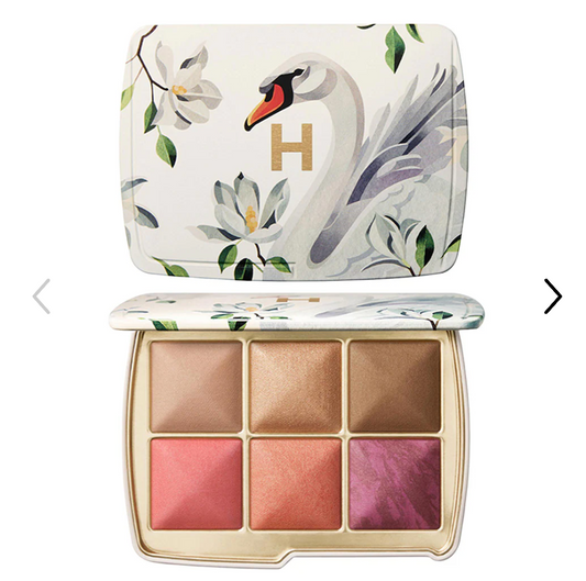 Hourglass Ambient Lighting Edit Unlocked Palette Swan NewLimited