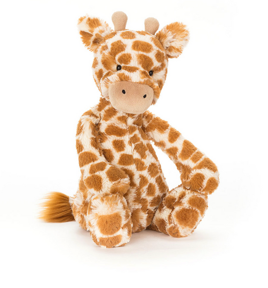 Bashful Giraffe